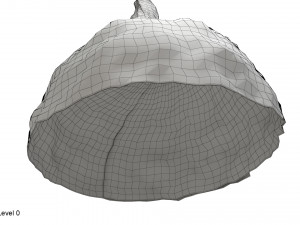 Tin foil hat 3D Model