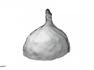 Tin foil hat 3D Model