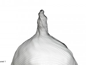 Tin foil hat 3D Model
