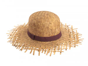Cappello di paglia Modello 3D