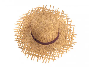 Cappello di paglia Modello 3D