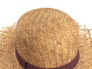 Cappello di paglia Modello 3D