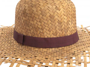 Cappello di paglia Modello 3D