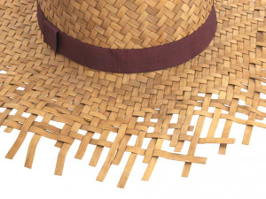 Cappello di paglia Modello 3D