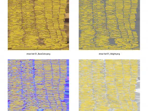 Cappello di paglia Modello 3D