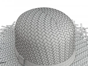 Cappello di paglia Modello 3D