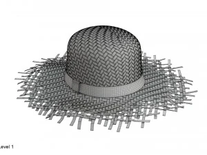 Cappello di paglia Modello 3D