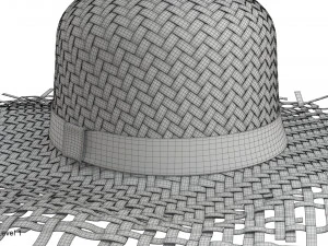Cappello di paglia Modello 3D