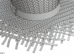 Cappello di paglia Modello 3D