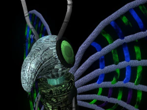 rob&ocirc; borboleta Baterfly Modelo 3D