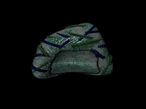 insect nest centripedes mecha-burrow 3D मॉडल