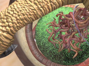 bird earthworm snow globe 3D 模型