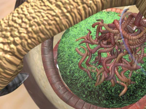 bird earthworm snow globe 3D Model