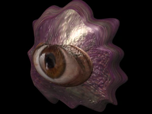 alien slime eye arachnipien 3D Model