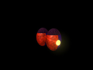 alien eggs arachnipien 3D Модель