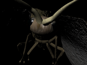 moth insect 3D Model