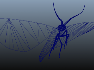 moth insect 3D Model