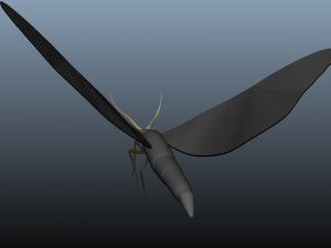 moth insect 3D Model