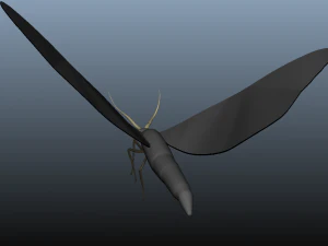 moth insect 3D Model