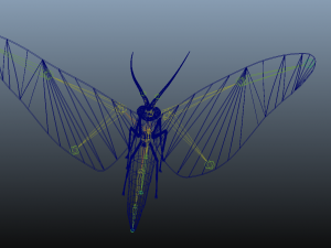 moth insect 3D Model