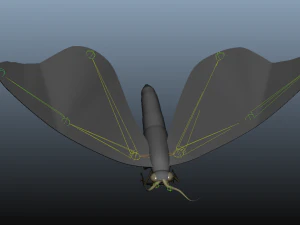 moth insect 3D Model