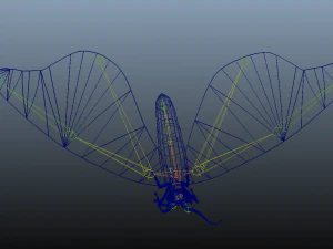moth insect 3D Model