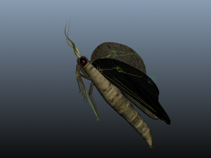 moth insect 3D Model