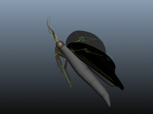 moth insect 3D Model