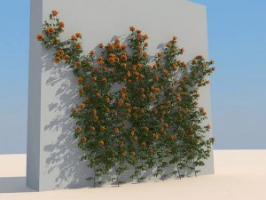 Blumen 3D Modell