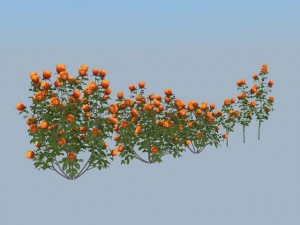 flovers 3D 모델