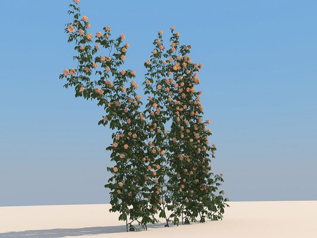 flowers Modello 3D .c4d .max .obj .3ds .fbx .stl .blend 