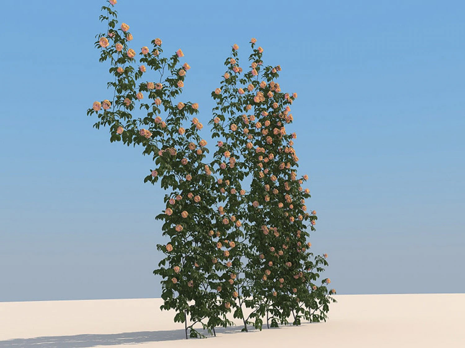 flowers 3D Model .c4d .max .obj .3ds .fbx .stl .blend 