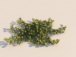 flowers Modelo 3D