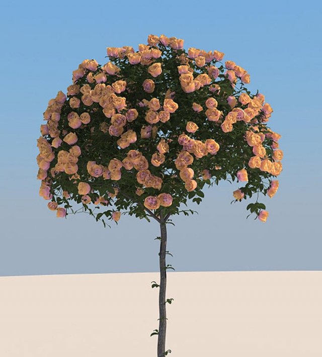 flowers Model 3D .c4d .max .obj .3ds .fbx .stl .blend 