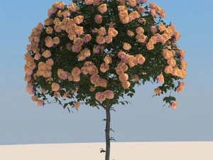 Blumen 3D Modell