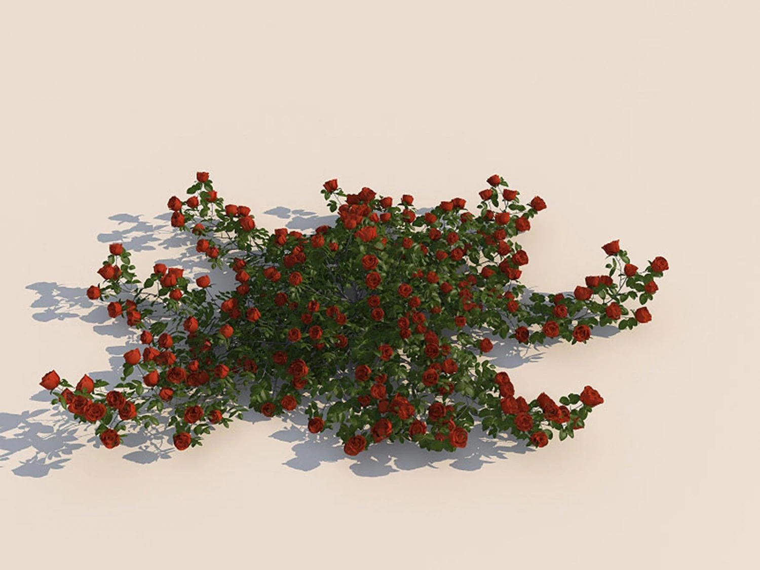 flowers 3D Model .c4d .max .obj .3ds .fbx .stl .blend 