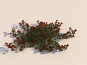 flowers Modelo 3D