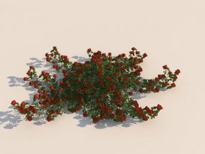 Blumen 3D Modell