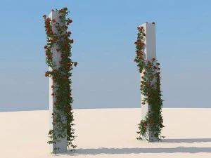 Blumen 3D Modell