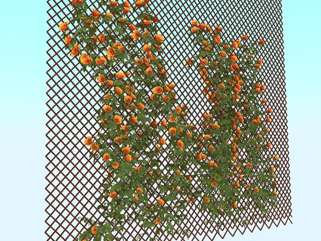 flowers 3D Model .c4d .max .obj .3ds .fbx .stl .blend 