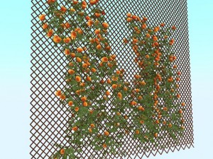 flowers Modelo 3D