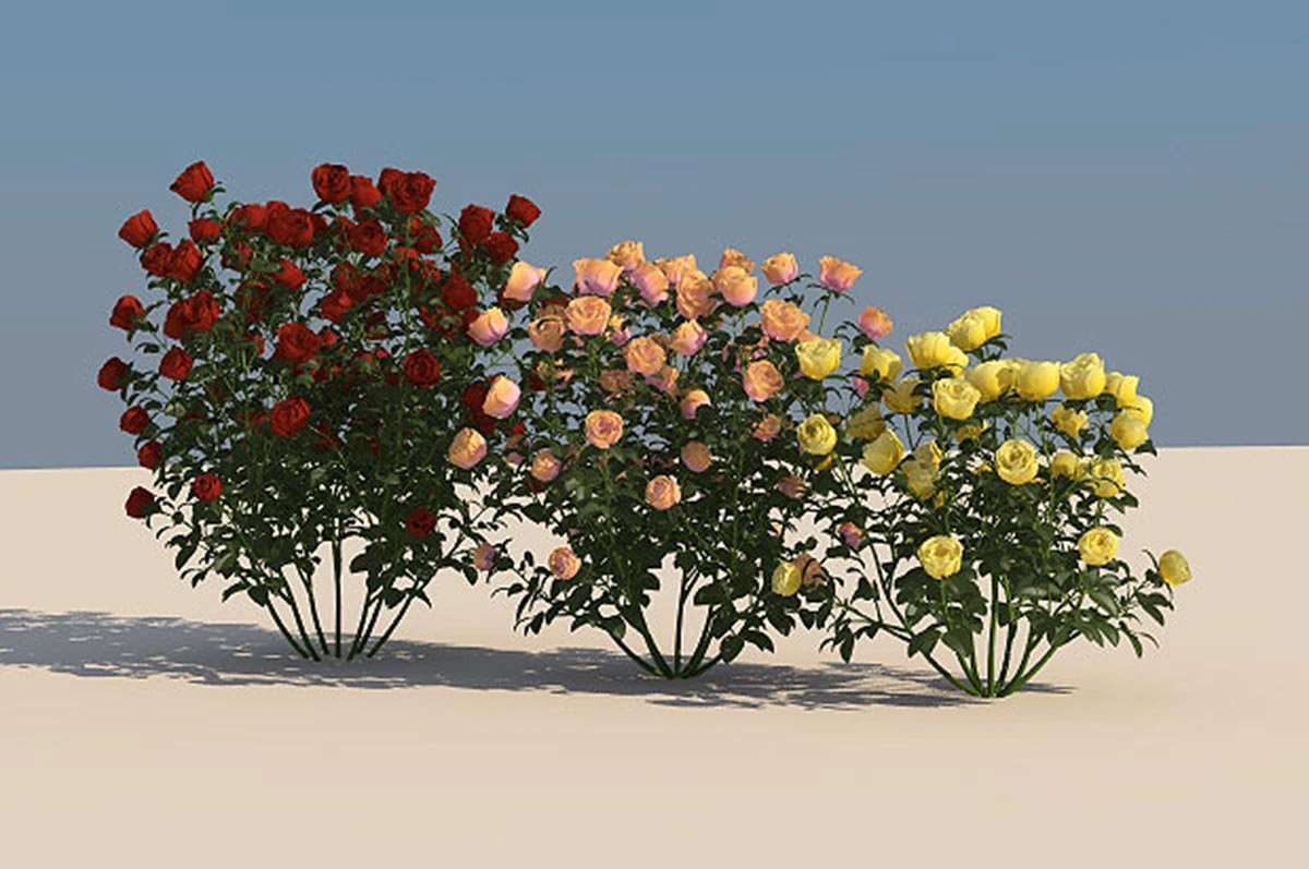 flowers 3D Model .c4d .max .obj .3ds .fbx .stl .blend 