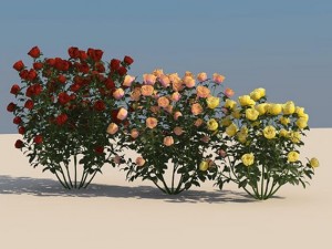 flowers Modelo 3D