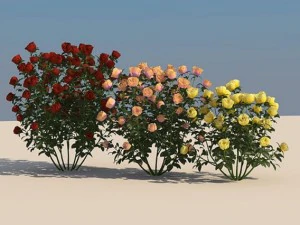 Blumen 3D Modell
