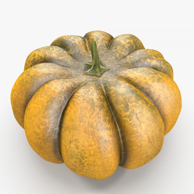 pumpkin 3D 模型 .c4d .max .obj .3ds .fbx .stl .blend 