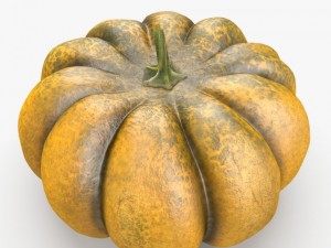 pumpkin Modello 3D