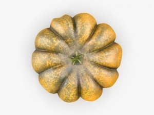 pumpkin 3D 模型