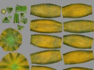pumpkin 3D Model