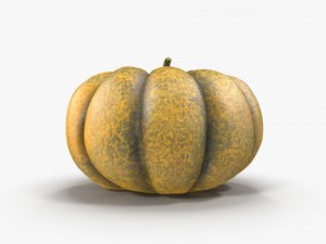 pumpkin 3D 模型
