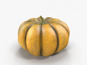 pumpkin 3D 模型